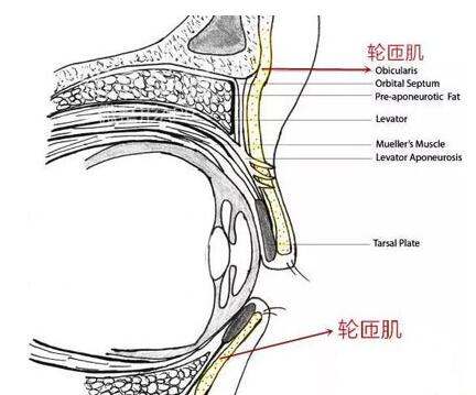 上海九院周慧芳说哭是哭不出双眼皮的